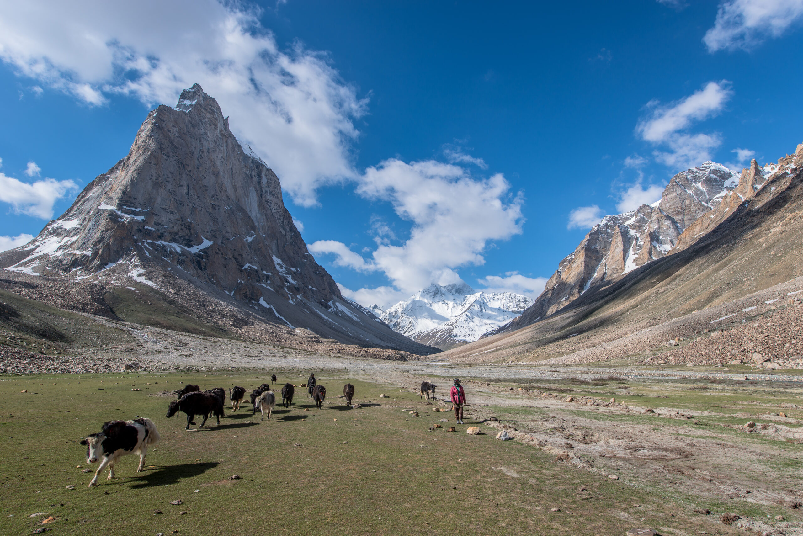 Monastic and cultural travel setting in Ladakh