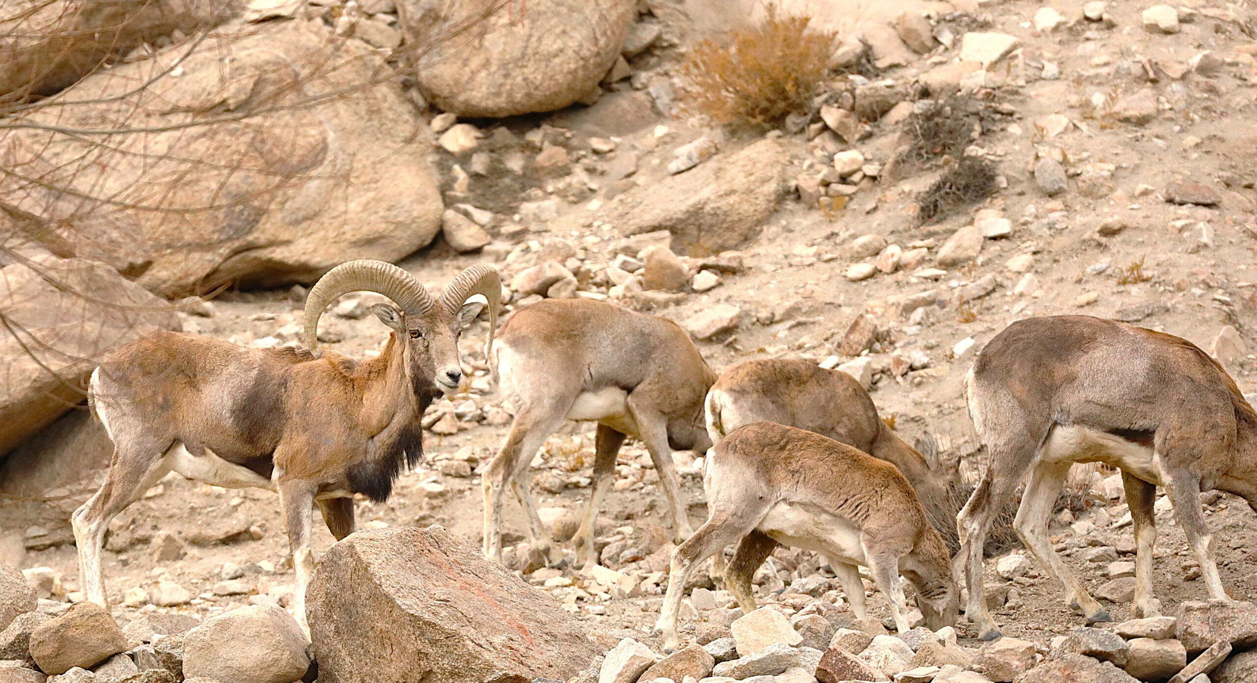 Ladakh route planning landscape
