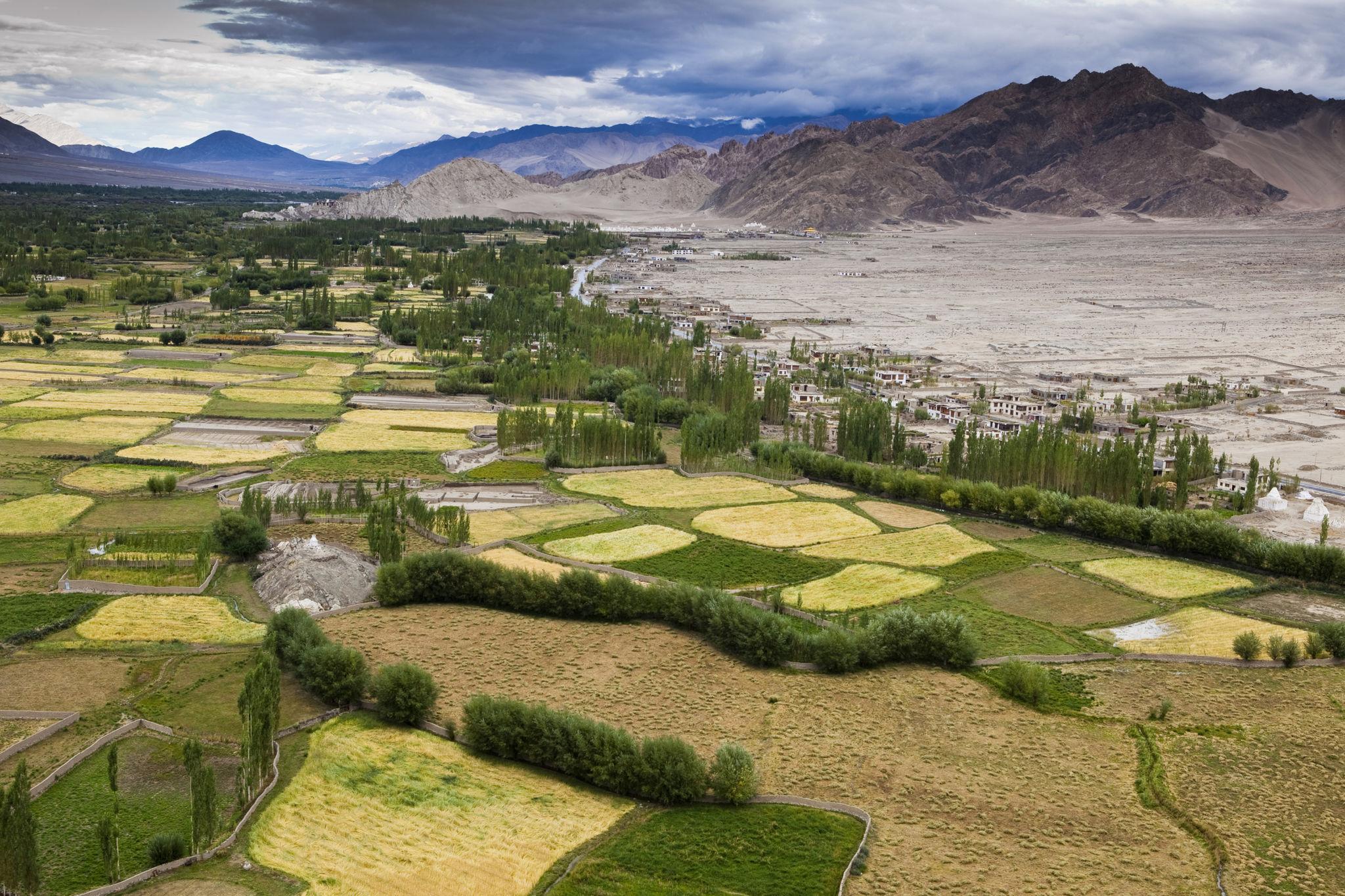 View from Thiksey over the Upper Indus Valley